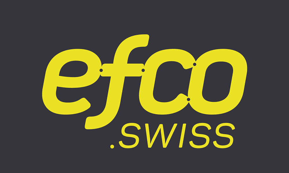 EFCO Befestigungstechnik AG