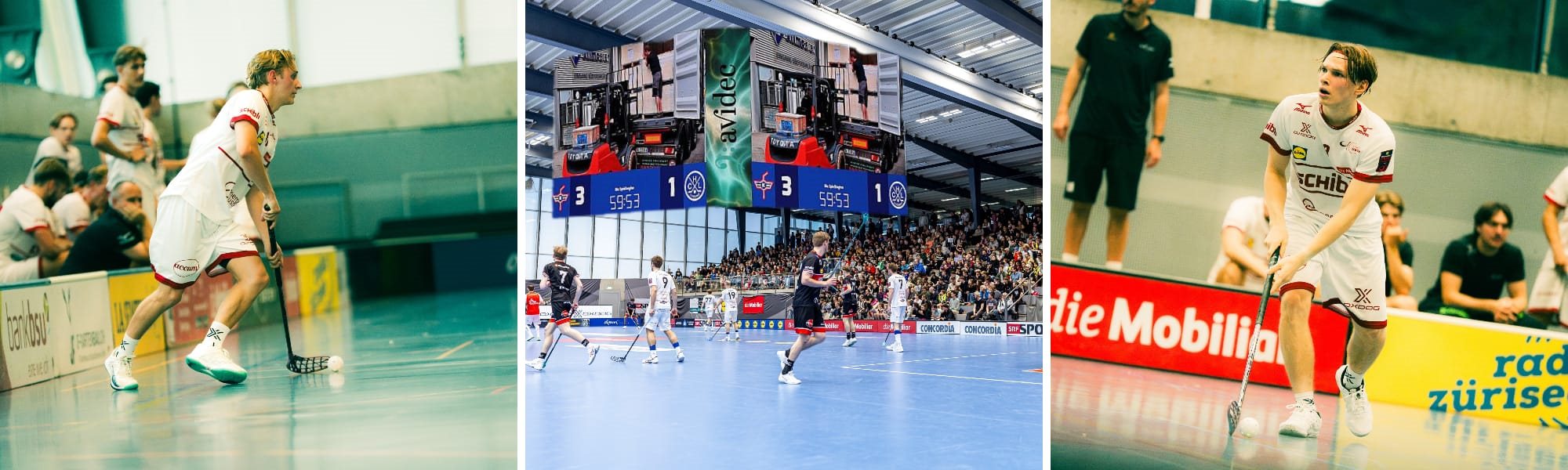 BUCHHOLZ-SPORTHALLE ERHÄLT 2027 EINE VIDEOLEINWAND BUCHHOLZ-SPORTHALLE ERHÄLT 2027 EINE VIDEOLEINWAND