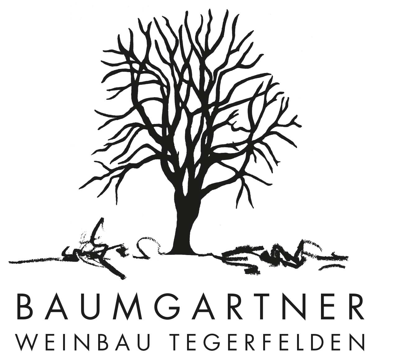 Baumgartner Weinbau Baumgartner Weinbau